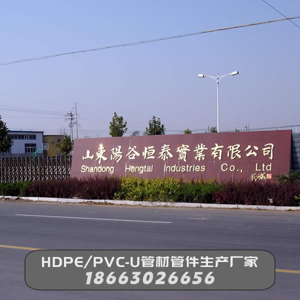 山東陽谷恒泰實業有限公司大門